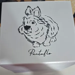 Brush Holder in Memory of Pantuflo 🐰