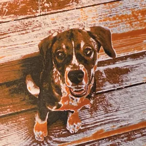 Hueforge Dog (Loki)