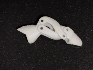 RDP, RING FINGER DISTAL PROSTHESIS