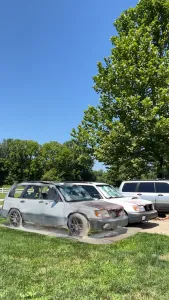 Forester day scan