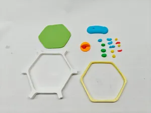 Plant Cell Model – Multi-Color Print & Glue Version