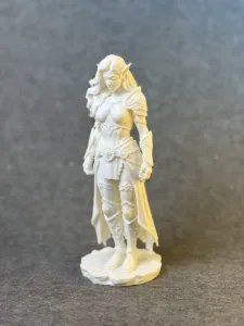 Warrior female Elf