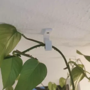 Hook For Plants