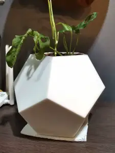 Penta Pot
