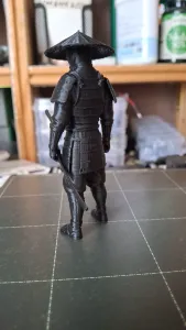 samurai warrior