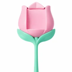Tulipa