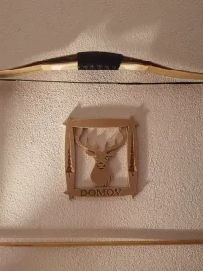 Obraz jeleňa/The image of a deer