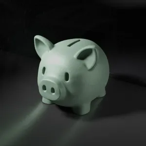 Minimalist Cute Piggy Bank | Easy print, minimal suport