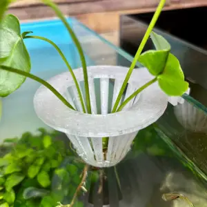 Aquarium Plant Holder
