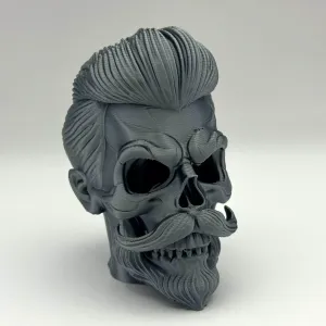 Stylish Skull Bust