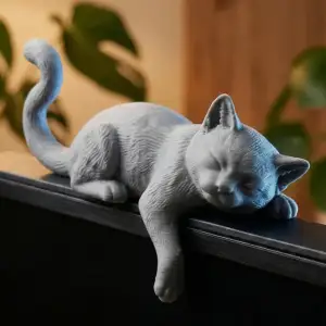 Cat monitor