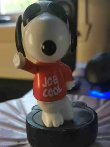 snoopy joe cool