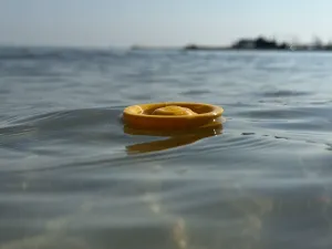 AquaFlyer: The Ultimate Floating Mini Frisbee