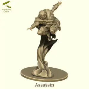 Mercenary Assassin
