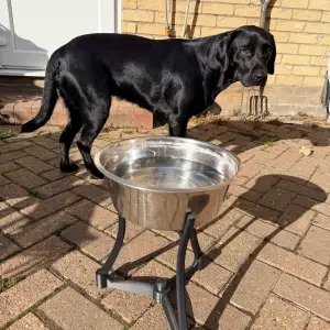 Raised dog bowl holder (or plant pot stand?)