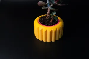 Mini Plant Pot with Removable Drip Tray