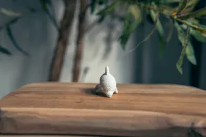 Cute Knitted Dolphin