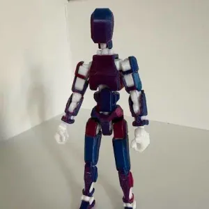Dummy 13