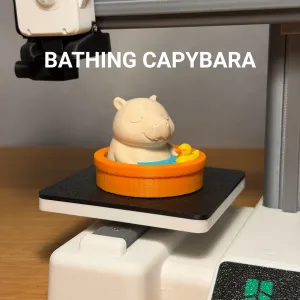 Bathing Capybara
