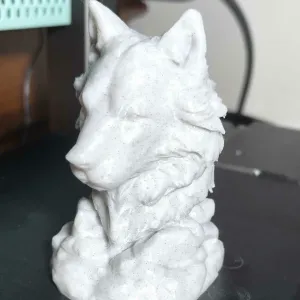 Bust of the king of the wolf