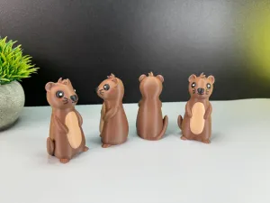 Cute Otter