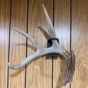 Shed antler holder