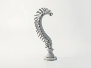 Spine Sculpture Anatomical Art 3D Printable