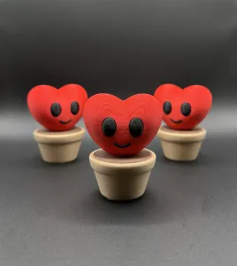 Heart Plants for Valentine’s