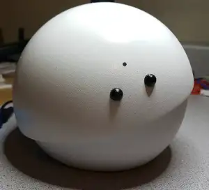 Pia the robot