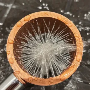 Shower nozzle