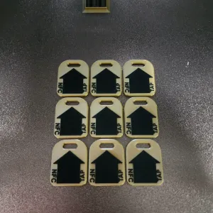 House Keychain with NFC tag pause
