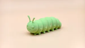 毛毛虫