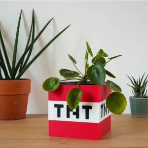 TNT Block Vase – Minecraft Edition