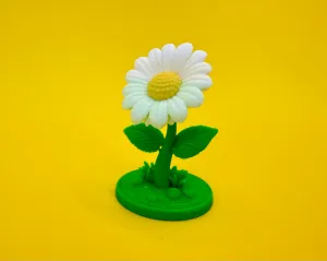 Daisy