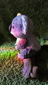 Koala Bear on branch