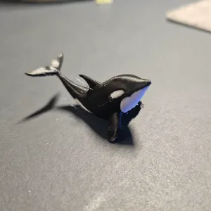 Orca