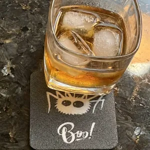 Coaster Boo !!!