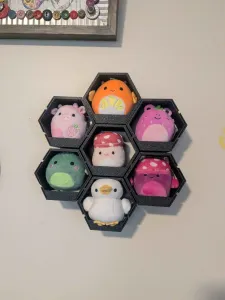 Modular Wall Mounted Hexagon Display