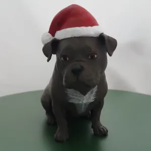 Kira - Engelse Stafford / Kira - English Staffordshire