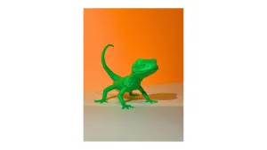 Geco