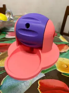 Gioco per cane