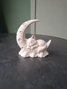 Sleeping Cat on the Moon