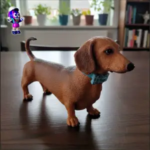 Perro Salchicha de Pie