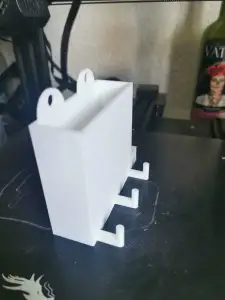 Storage for wireless microphone