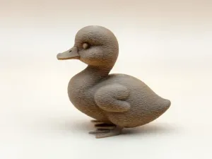 毛茸茸的小鸭子