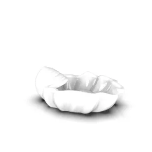 Sea shell
