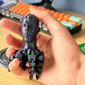 Cole Palmer Octopus
