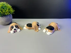 Cute Dog