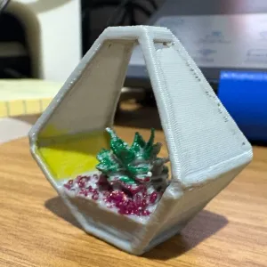 Terrarium - Open, Geometric