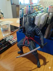 ninja furtif